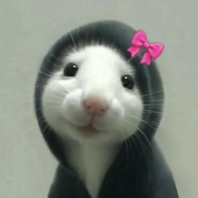 ykyksum's profile picture. unsaid thoughts