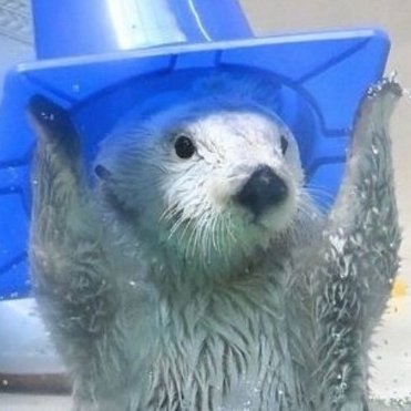 daniway_'s profile picture. 23 | deadlock 🦫