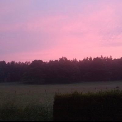 Rallyguy35's profile picture. 17+♂️ Kfr SoB: 275.88 Current 6WW in SHS 200cc and 7WW in 150cc