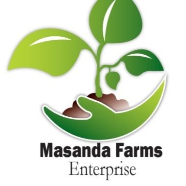 MukiibiR36770's profile picture. Masanda Farms Enterprise  contributes to profitable farming through Research and Innovation, Training & Education, and Farm Supplies