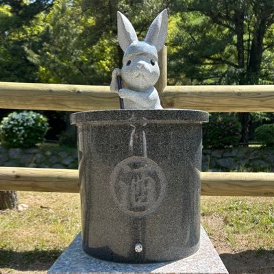 KMさんのプロフィール画像