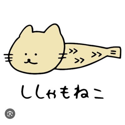 touhokuu's profile picture. 📖読書と☕️珈琲が好き、几帳面で温和、169-69、映画🎥や水族館🐬が癒し、ゆるゆると裏垢漂流中