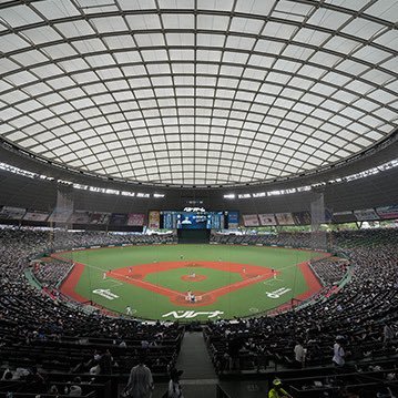 pooohellopro's profile picture. 推し用