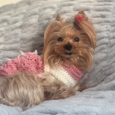 RH_POP_MOVIE's profile picture. InstagramやYouTubeでも発信している映画好きコンビです！🎬HANA応援中🥀最近は『グランドオーナリ』というホラー小説も書き始めました！私達はLGBTQ +を含むあらゆる差別に反対します！