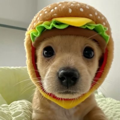 frtzin's profile picture. 18