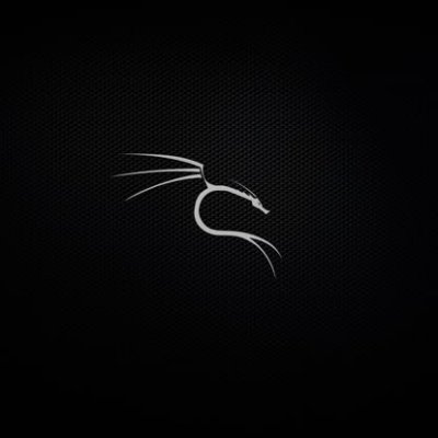SerdelNmap's profile picture. CyberSecurity🔛🔝