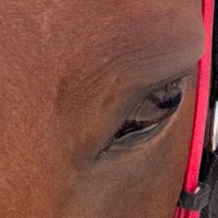 Dx Db (@dx_db94953) 's Twitter Profile