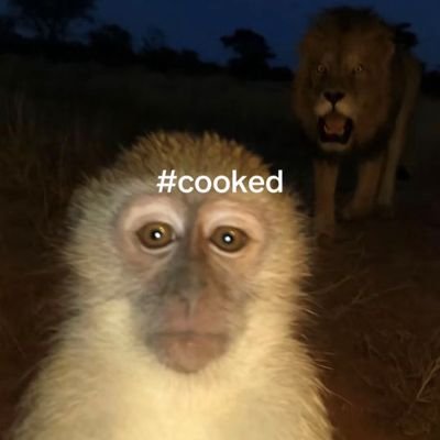 Afrobadt's profile picture. Entrepreneur. Freelancer.