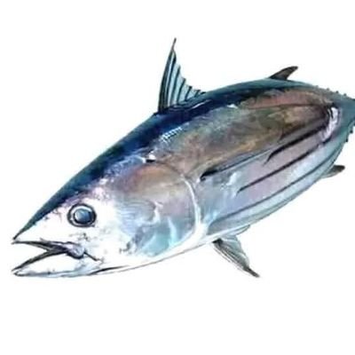 robak960584's profile picture. 