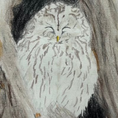 Mr_mofmo's profile picture. M2-5 いたくら 現在100(99)/670