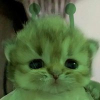 titi mnangisi smt 5🦷 (@titinyot) 's Twitter Profile