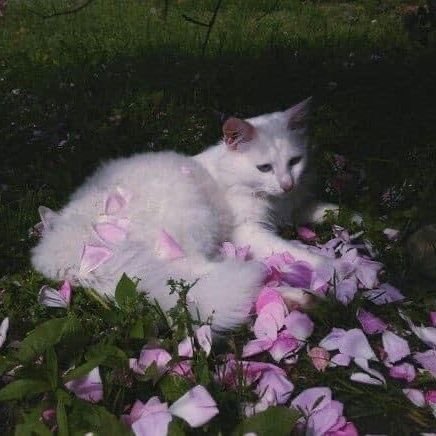 urmd01's profile picture. 