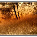 Jane Galvin - @JaneGalvin2 - Twitter