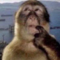 rafah né amor (@rafah_ne_amor) 's Twitter Profile