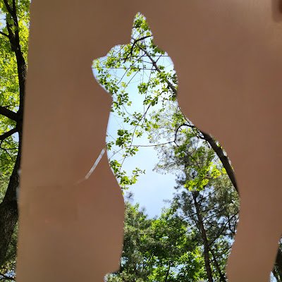 jinbom256446's profile picture. 