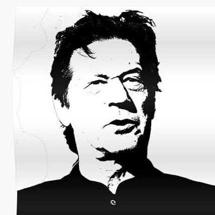 komail Ali Profile