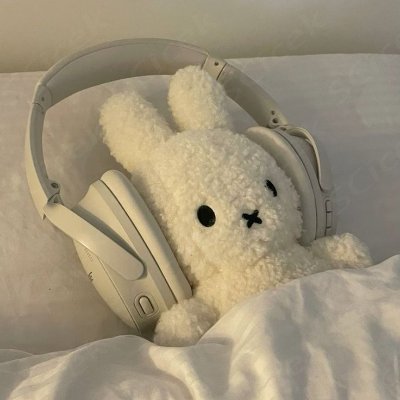 김룽지さんのプロフィール画像
