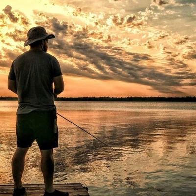 🇨🇦 Experiencer and citizen researcher advocating for government declassification and transparency of UFO data.