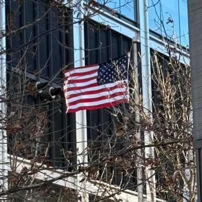 Natesinio's profile picture. 