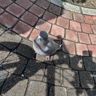 ゆー鳩の完全abat専用アカウントです 本垢で繋がってる方というか今回誕生日タグつけた方は勝手にフォローさせていただいてます🙏 本垢でもabat発言はするけどこっちがメインです本垢→@YUU11200093
