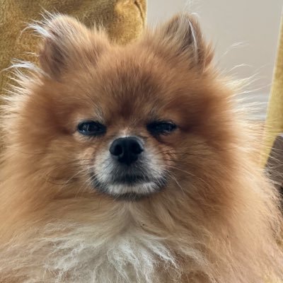 marie_Freedom1's profile picture. 