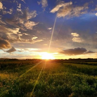 roto155922's profile picture. 