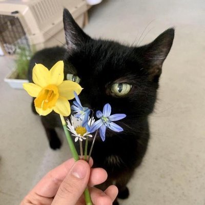 ただの陶芸愛好者ですが、時々変わったものを作ったりします。☺
それらは芸術品でもなければ、がらくたでもありません。それらは私の子供なのです。😆