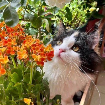 陶芸だけが愛です。時々作品を売ることもありますが、それはそれらを愛する人だけに限ります。😉
私の作品が大切にされないのは絶対に嫌です。🤔