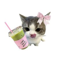 🌙 (@ssiikkiiee) 's Twitter Profile Photo