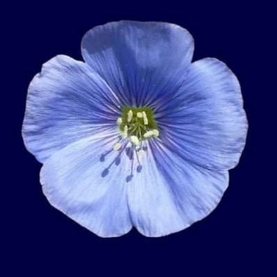 kk333kkkk's profile picture. 