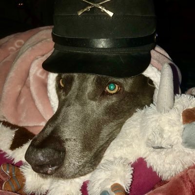 The daughter from hell. Trying to survive in Nazi America. Disgruntled veteran and democrat. Still a never Trumper. Avid gamer. Here to read the propaganda.