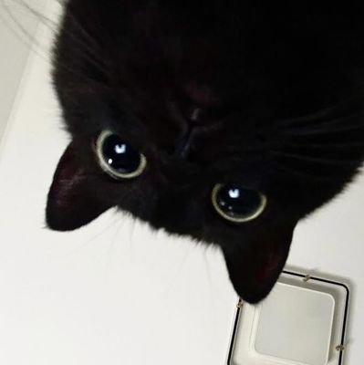 imdlfma's profile picture. 