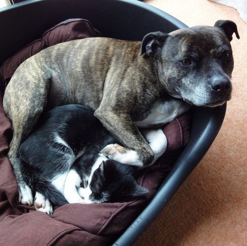 crescent55's profile picture. 