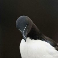 Zee (@numer0un001) 's Twitter Profile Photo Zee (@numer0un001) 's Twitter Profile Photo
