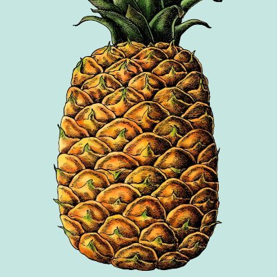 ananass00000's profile picture. 