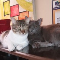 Marcia Cristini Queiroz do Rêgo (@marciacristini7) 's Twitter Profile