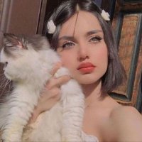 Amelia (@dragoncalls1) 's Twitter Profile