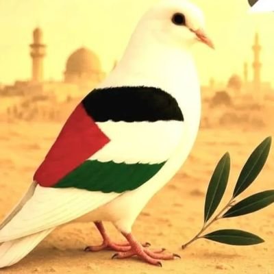 jaleztr02099773's profile picture. 