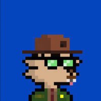 ApeCubz (@apecubz) 's Twitter Profile