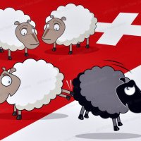 AntiDeutsch (@ads164297) 's Twitter Profile
