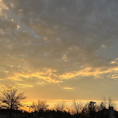 indaysm's profile picture. 