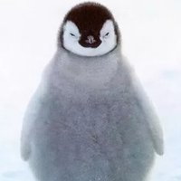 awesomeanglo (@awesomeanglo) 's Twitter Profile