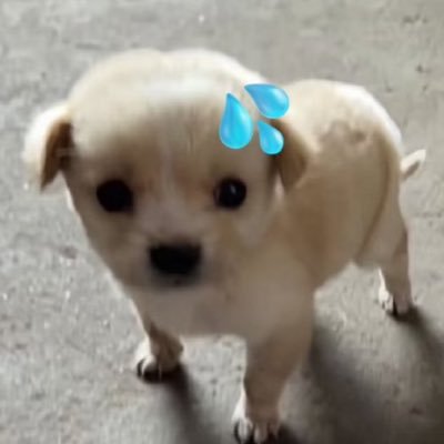 ismy_0813's profile picture. 