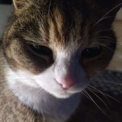 takaona167's profile picture. Matka, żona. Miłośniczka zwierząt . Całym sercem za koalicją 15 X . Nienawidzę chamstwa, manipulacji . Wrażliwa na krzywdę innych . A jednocześnie twarda babka