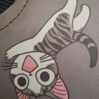 Men, He, hentai, singer, nueva cuenta, escríbeme al Dm, no hacen encuentros, solo vídeo llamada 📲, hablamos un rato.