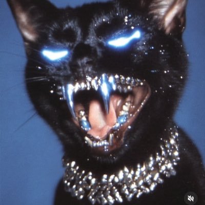 _LeaveYourself's profile picture. Rápido y furioso