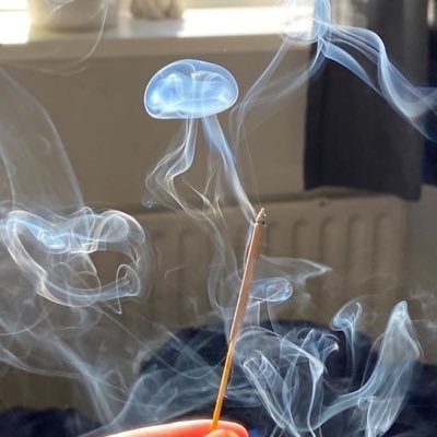 CDc2041696's profile picture. https://t.co/Grmx0Anvbs