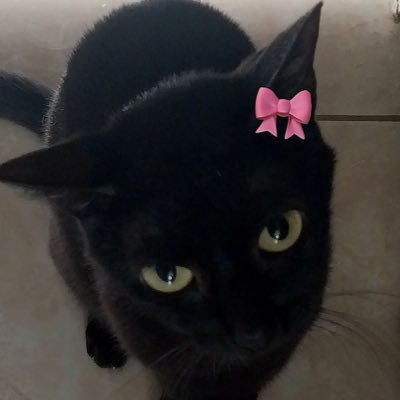 stoptime222's profile picture. May you be the happiest person in the world. #ธีรรัตน์สำเร็จวาณิชย์