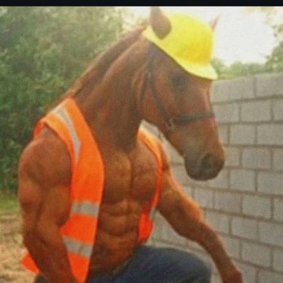 Andourouxx's profile picture. CLOCLICO 
Degen 
cool