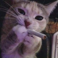 Based Dev (@itsbaseddev) 's Twitter Profile